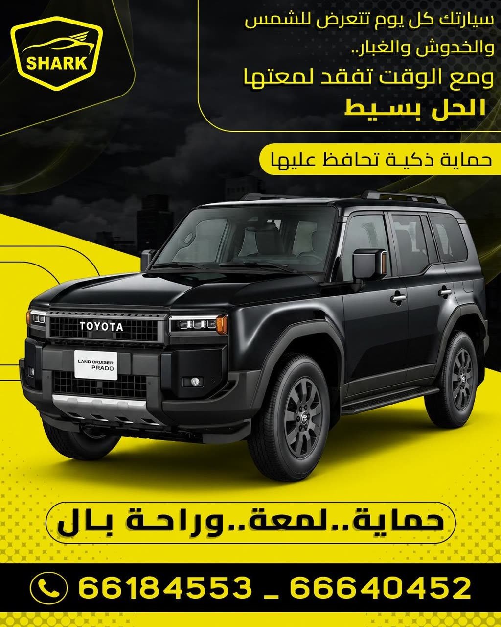 Shark Protection KW offer — smart protection for your car